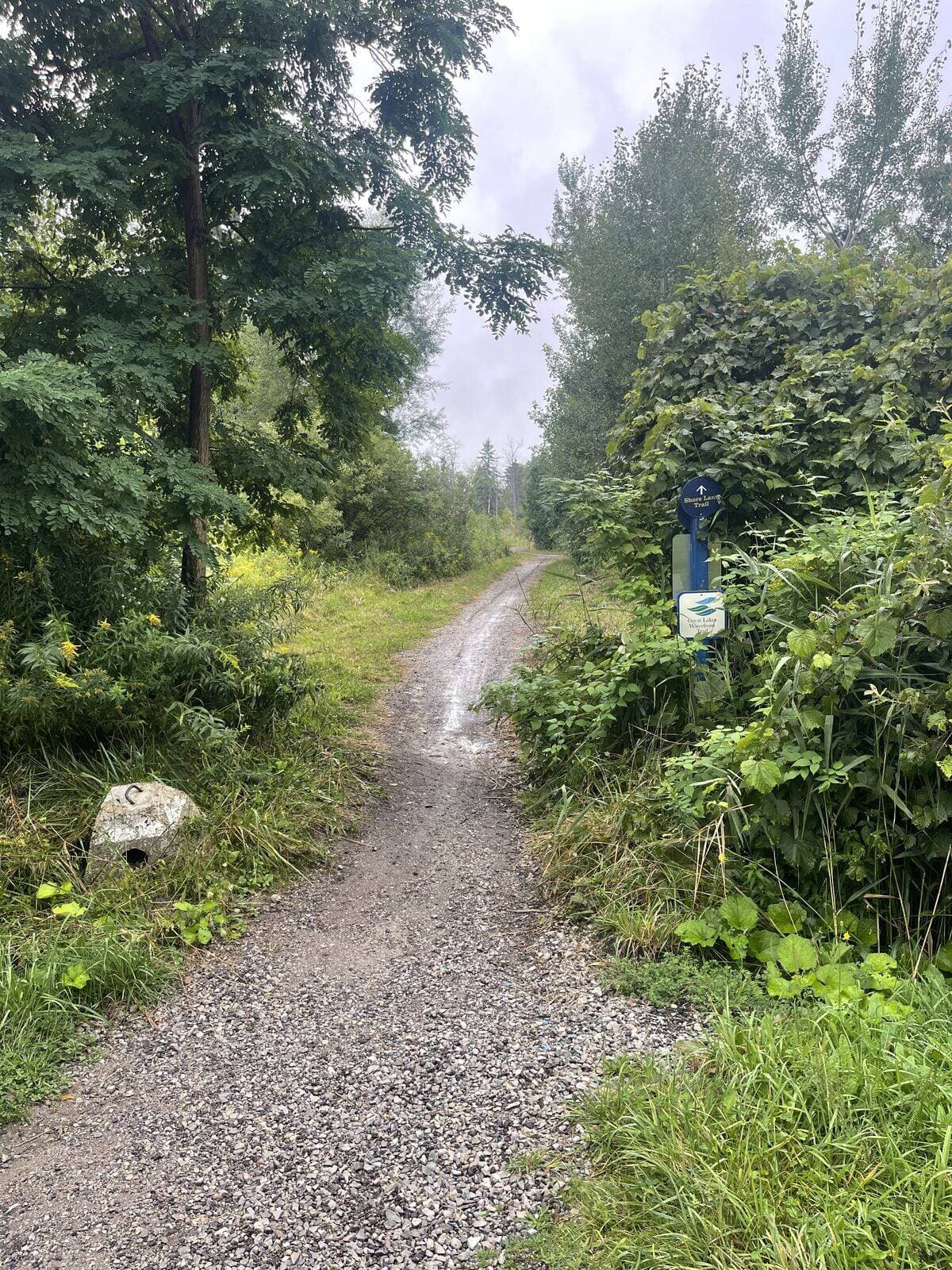 A gravel trail running into mixed forest in the west end, with a blue trail marker post at the entrance.